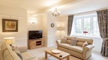 Smart TV, fireplace, DVD player, books