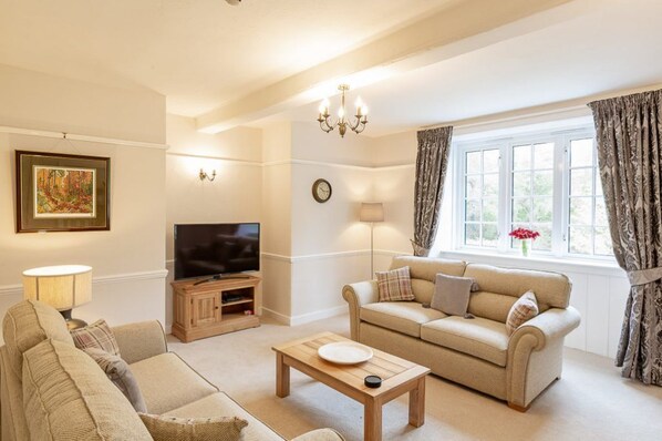 Smart TV, chimenea, reproductor de DVD y libros 