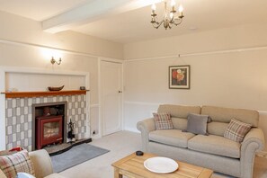 TV connectée, cheminée, lecteur de DVD, livres