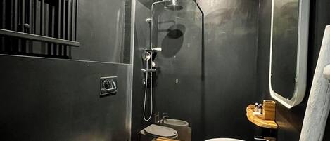 Shower, hair dryer, bidet, towels