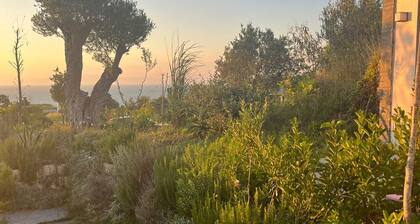 Cape of Rodon Resort Green Village