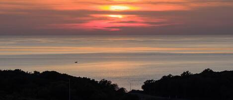 A sunset over a calm sea with a silhouette of trees and a distant boat.