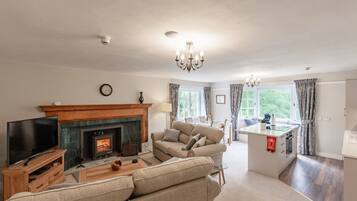 Smart TV, fireplace, DVD player, books