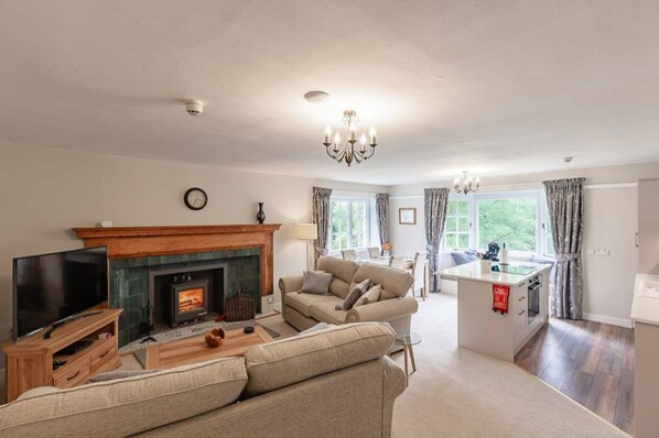 Smart TV, chimenea, reproductor de DVD y libros 