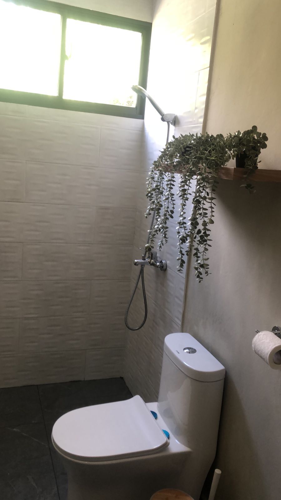 A bathroom with a toilet, a shower, and a hanging plant.
