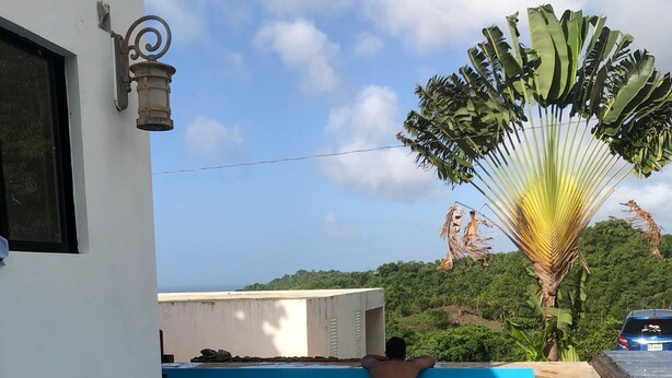 A swimming pool with a stone border, a white building with a window, and a large tree with broad leaves in the background. - Casa Playa Rincon Hills Samana (Samaná)