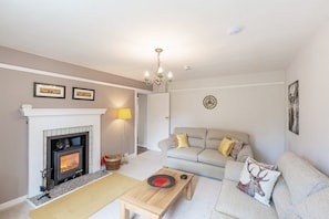 Smart TV, chimenea, reproductor de DVD, libros
