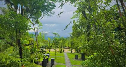 The Secret Garden at Mist of Sinharaja