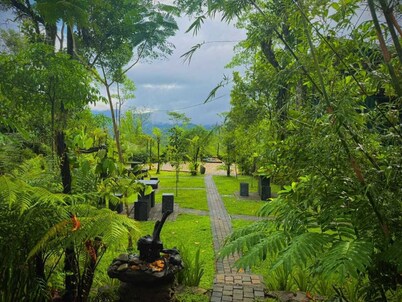 The Secret Garden at Mist of Sinharaja