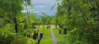 The Secret Garden at Mist of Sinharaja