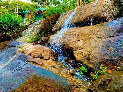 The Secret Garden at Mist of Sinharaja