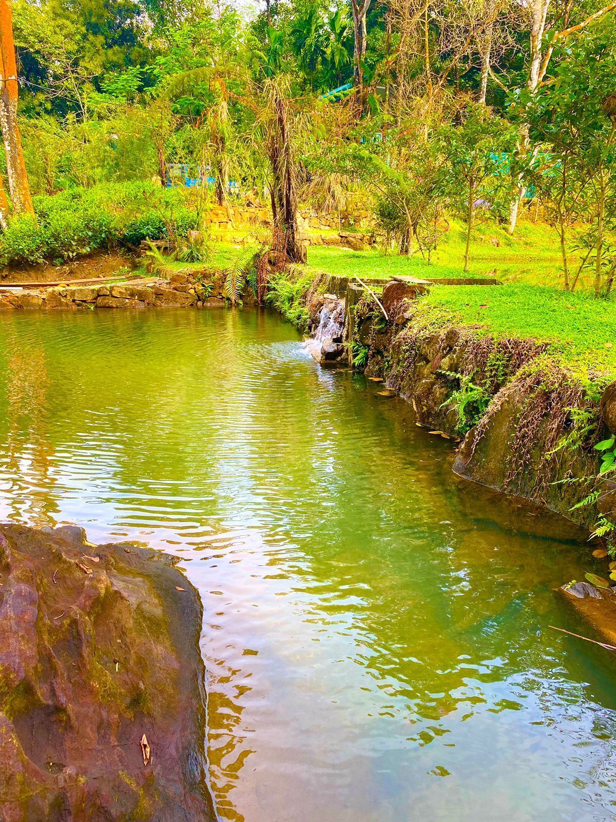 A tranquil pond with a small waterfall, surrounded by lush greenery and stone walls.