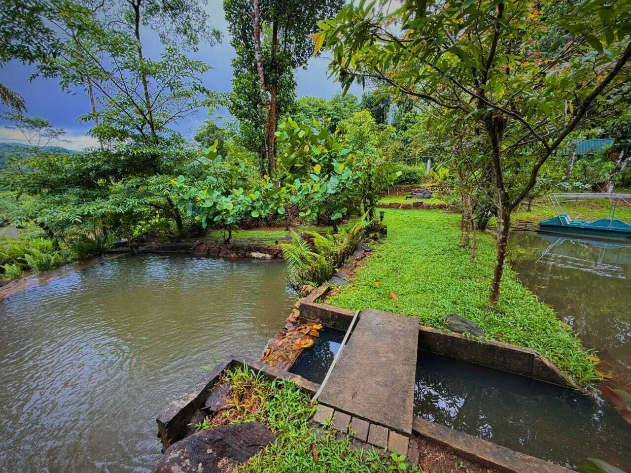 Ein friedlicher Garten mit Teich, üppigem Grün und einer kleinen Brücke.