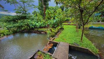 Ein friedlicher Garten mit Teich, üppigem Grün und einer kleinen Brücke.