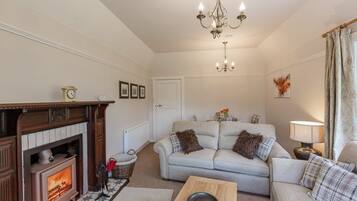 Smart TV, fireplace, DVD player, books