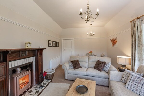 Smart TV, fireplace, DVD player, books