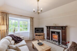 Smart TV, chimenea, reproductor de DVD y libros 