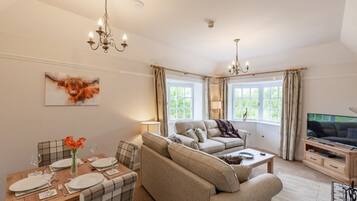 Smart TV, fireplace, DVD player, books