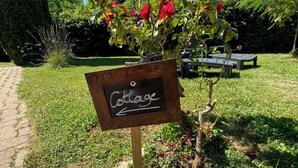 المنطقة المحيطة بالم نشأة