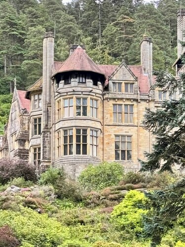   Mulberry House - Family and dog friendly.
Situated in the heart of the town.