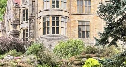 Mulberry House - Family and dog friendly.
Situated in the heart of the town.