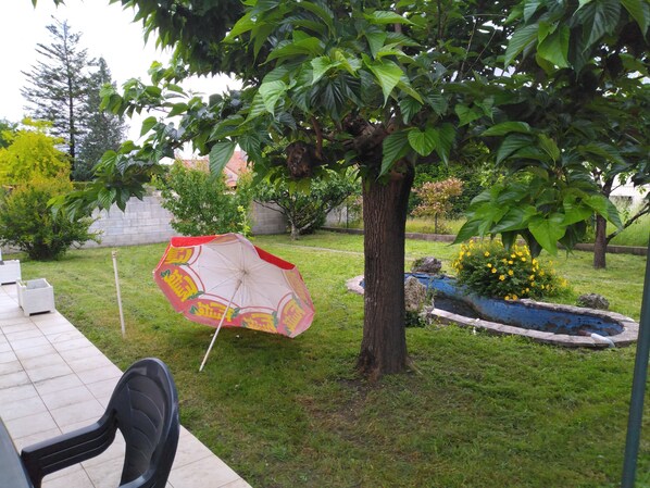 Property grounds - Lovely family home in Cognac (Cognac)