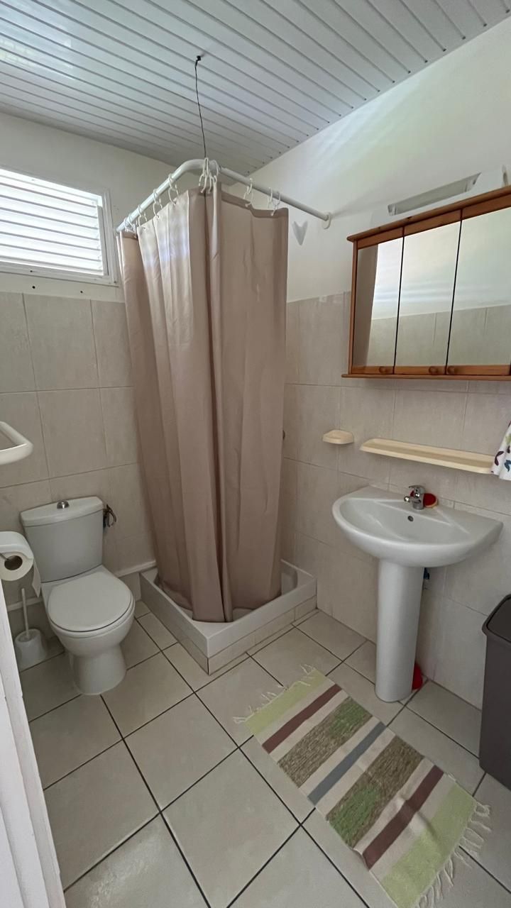 Ein Badezimmer mit Toilette, Dusche, Waschbecken und einem Spiegel über dem Waschbecken.
