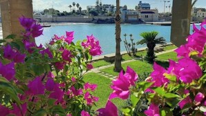 Vista de un puerto deportivo con barcos, cielo despejado y una zona de construcción a lo lejos.