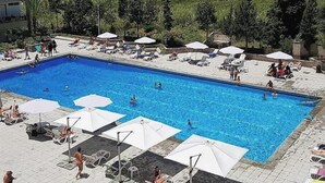 Piscina con tumbonas y sombrillas, rodeada de vegetación y edificios.