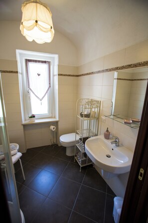 Shower, hair dryer, bidet, towels