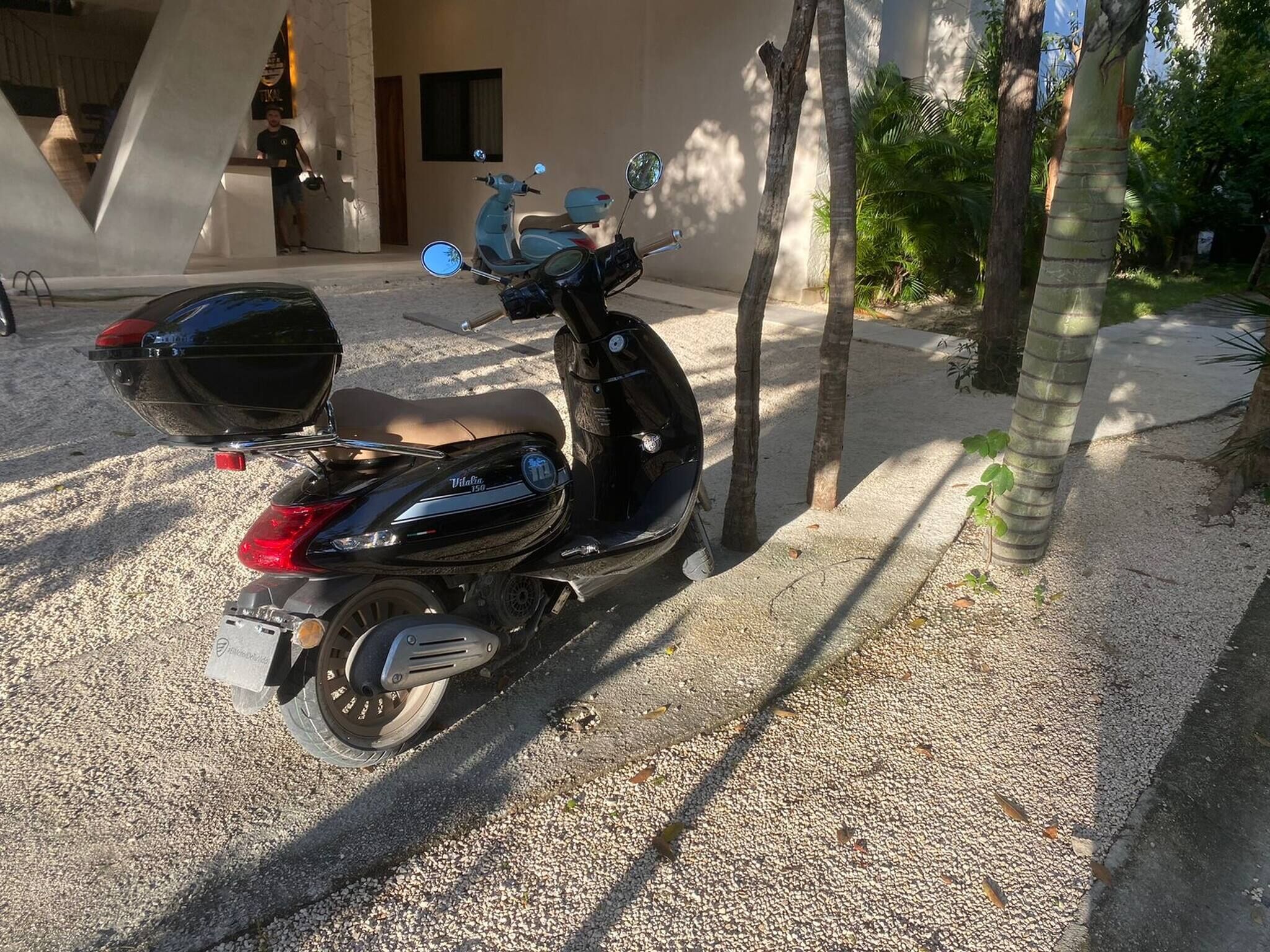 A black scooter parked on a gravel driveway with palm trees in the background.