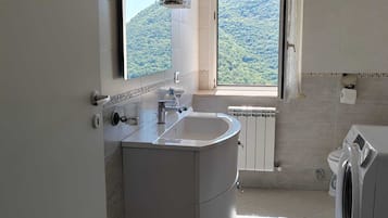 Shower, hair dryer, bidet, towels