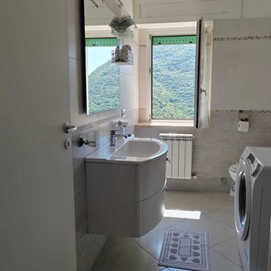 Shower, hair dryer, bidet, towels