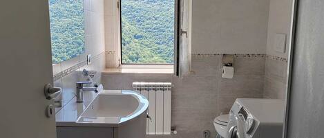 Shower, hair dryer, bidet, towels