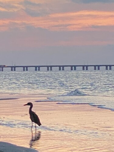 Charming 3-bedroom vintage beach cottage 5 minute walk to the Chesapeake Bay!