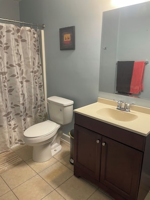 Hair dryer, towels, soap, toilet paper