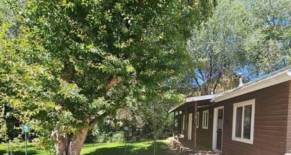 Cabin 9 Cozy rustic w/ Kitchen