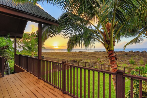 Terrain de l’hébergement 