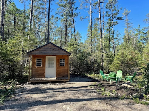 Cozy cabin close to trails! 