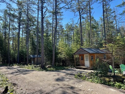 Cozy cabin close to trails! 