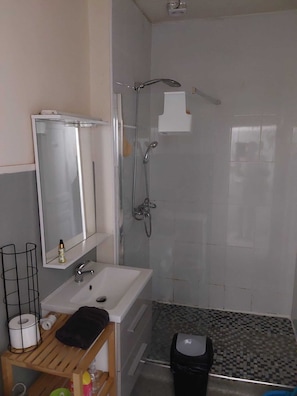 Shower, towels, toilet paper