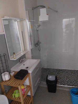 Shower, towels, toilet paper