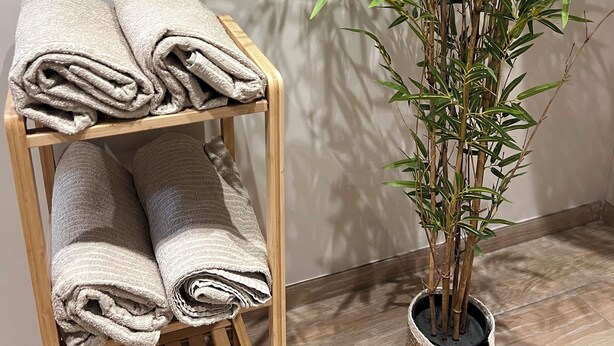 A wooden shelf with neatly folded towels and a potted bamboo plant. - Apartment in the heart of the city, close to historic sites, ideal for families (Verdun)