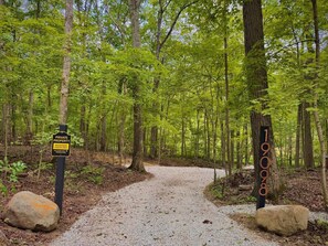 المنطقة المحيطة بالمنشأة