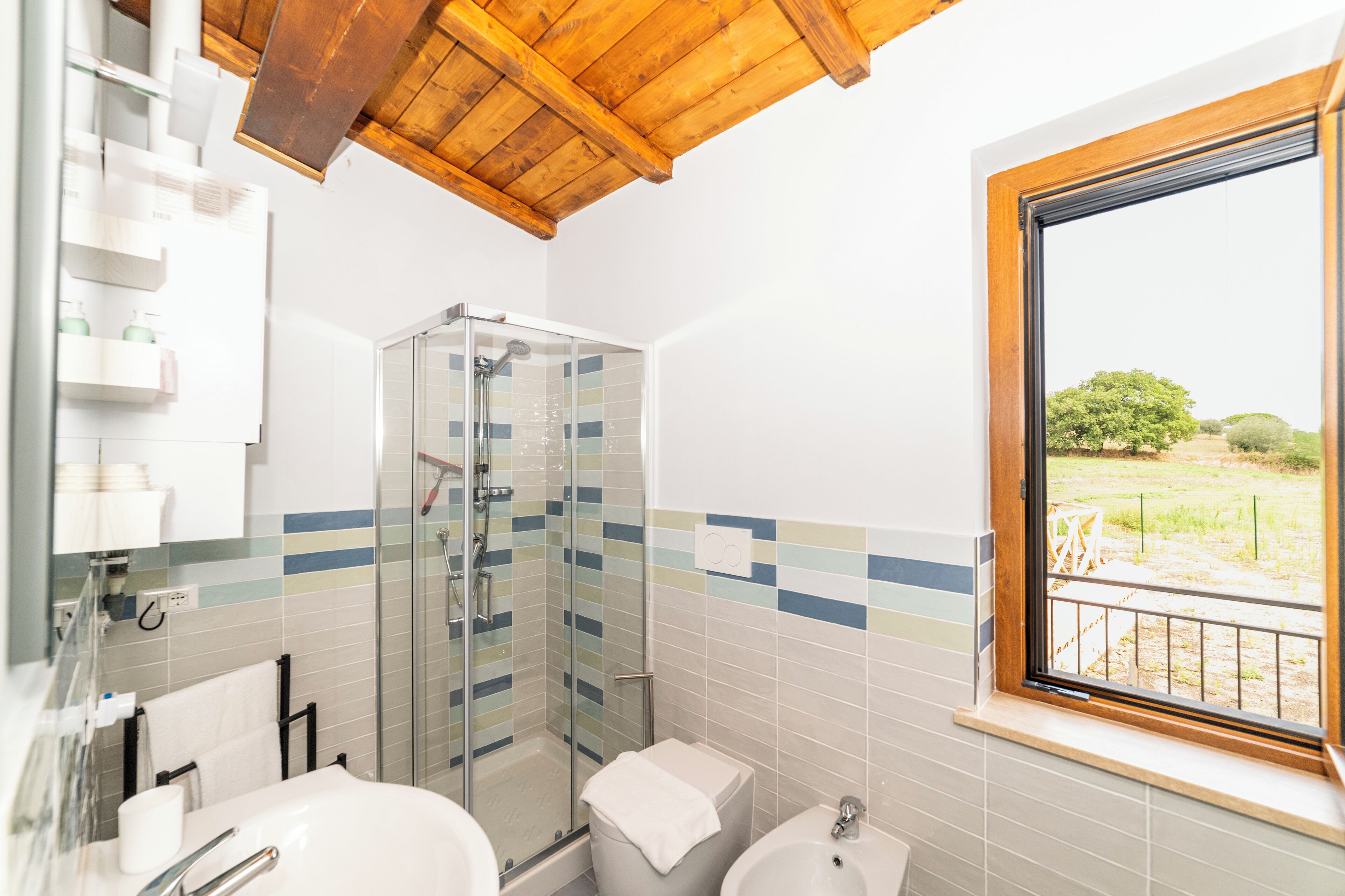 Hair dryer, bidet, towels, soap