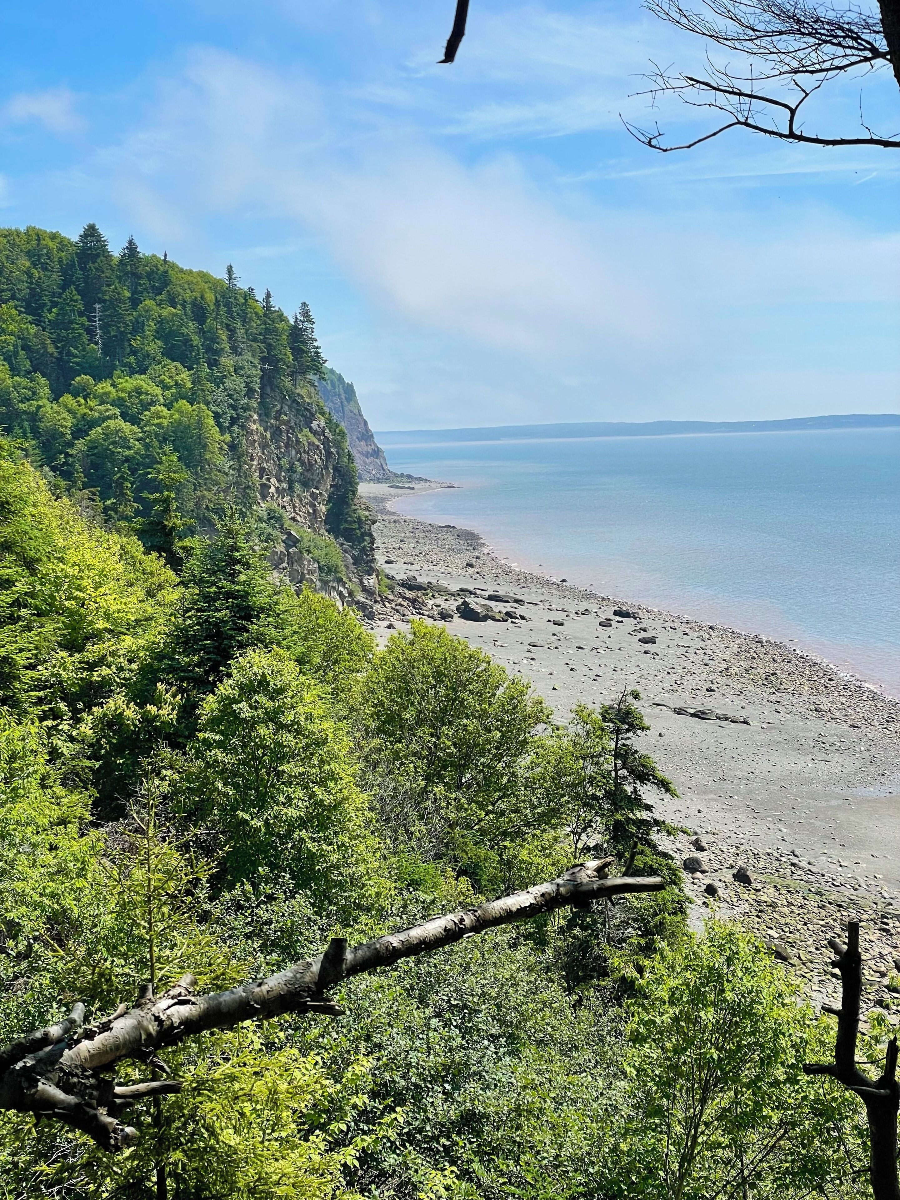 Paesaggio costiero con spiaggia rocciosa, fitta foresta verde e vista limpida sull'oceano.