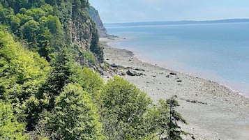 Paesaggio costiero con spiaggia rocciosa, fitta foresta verde e vista limpida sull'oceano.