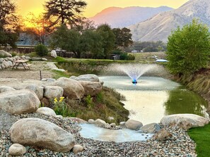 Property grounds - Blossom Creek Retreat Suite C (Three Rivers)