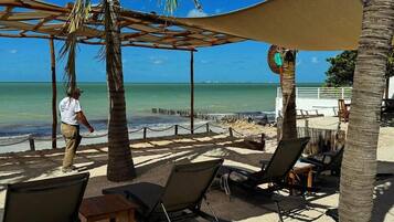 A beachside seating area with sun loungers and a table, palm trees, and a view of the ocean.