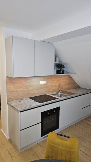 Microwave, oven, stovetop, dishwasher - Green Retreat Apartment Kranjc (Cerknica)